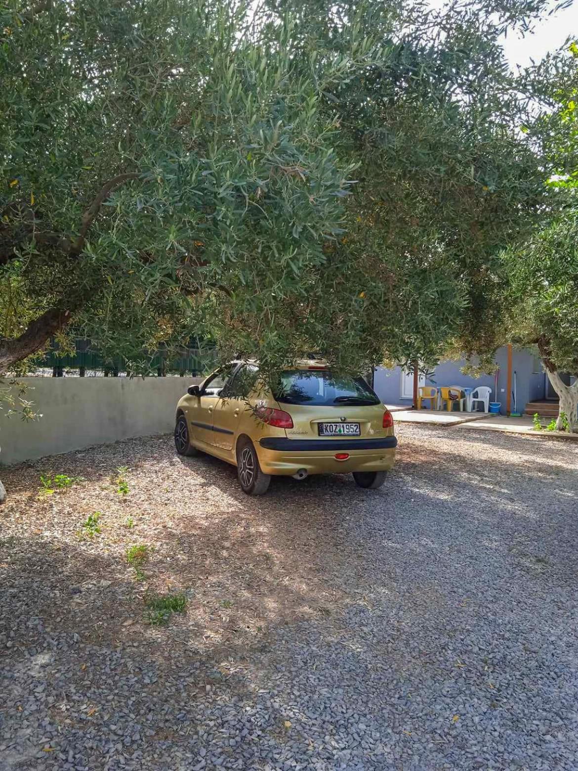 Κυανή Ακτή - Agia Paraskevi Makri Exterior photo